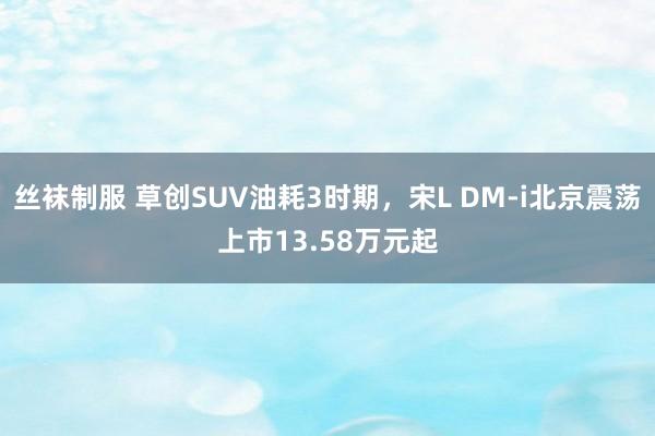 丝袜制服 草创SUV油耗3时期，宋L DM-i北京震荡上市13.58万元起