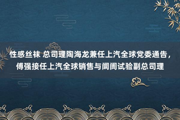 性感丝袜 总司理陶海龙兼任上汽全球党委通告，傅强接任上汽全球销售与阛阓试验副总司理