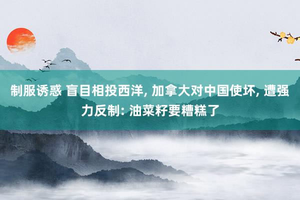 制服诱惑 盲目相投西洋， 加拿大对中国使坏， 遭强力反制: 油菜籽要糟糕了