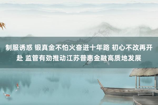 制服诱惑 锻真金不怕火奋进十年路 初心不改再开赴 监管有劲推动江苏普惠金融高质地发展