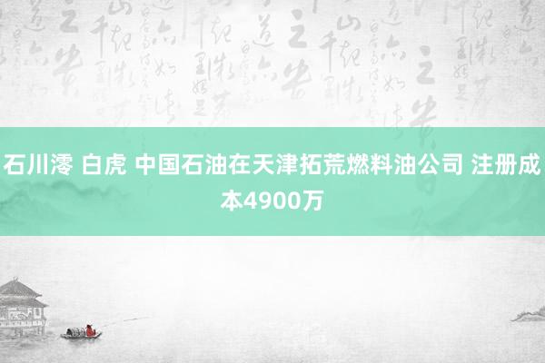 石川澪 白虎 中国石油在天津拓荒燃料油公司 注册成本4900万