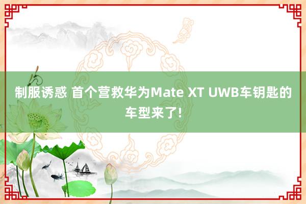 制服诱惑 首个营救华为Mate XT UWB车钥匙的车型来了!