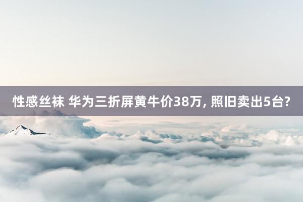 性感丝袜 华为三折屏黄牛价38万， 照旧卖出5台?