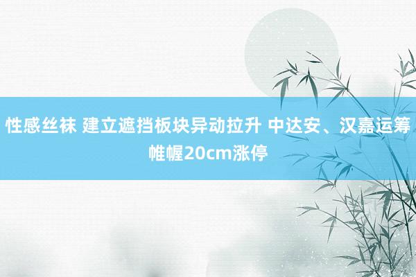 性感丝袜 建立遮挡板块异动拉升 中达安、汉嘉运筹帷幄20cm涨停