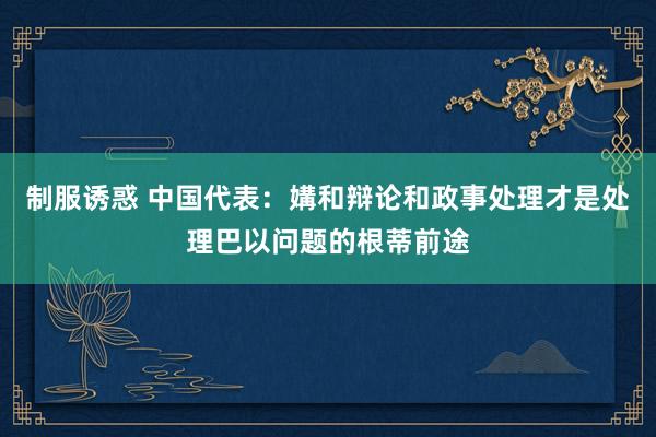 制服诱惑 中国代表：媾和辩论和政事处理才是处理巴以问题的根蒂前途