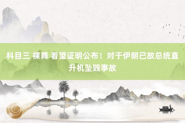 科目三 裸舞 看望证明公布！对于伊朗已故总统直升机坠毁事故