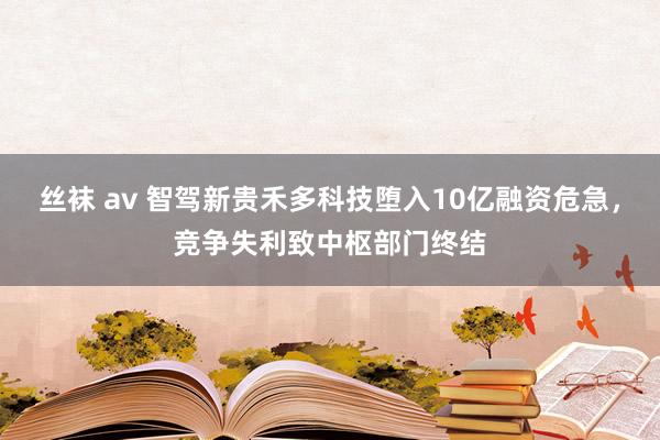 丝袜 av 智驾新贵禾多科技堕入10亿融资危急，竞争失利致中枢部门终结