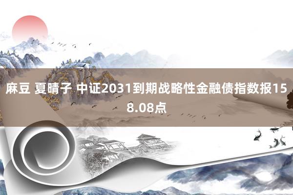 麻豆 夏晴子 中证2031到期战略性金融债指数报158.08点