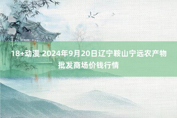 18+动漫 2024年9月20日辽宁鞍山宁远农产物批发商场价钱行情