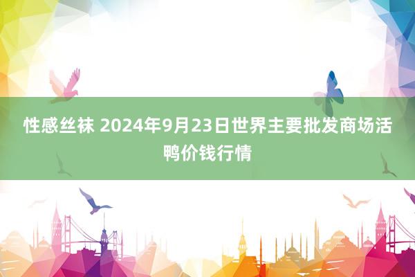 性感丝袜 2024年9月23日世界主要批发商场活鸭价钱行情