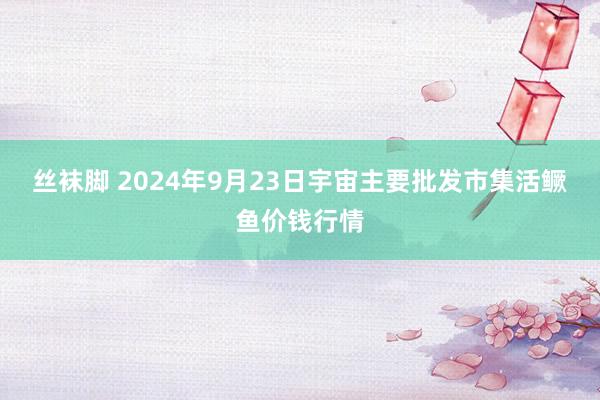 丝袜脚 2024年9月23日宇宙主要批发市集活鳜鱼价钱行情