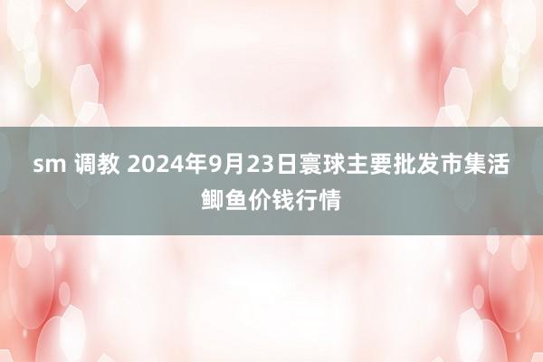 sm 调教 2024年9月23日寰球主要批发市集活鲫鱼价钱行情