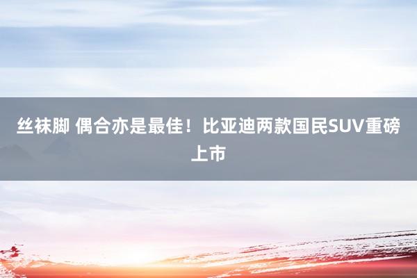 丝袜脚 偶合亦是最佳！比亚迪两款国民SUV重磅上市