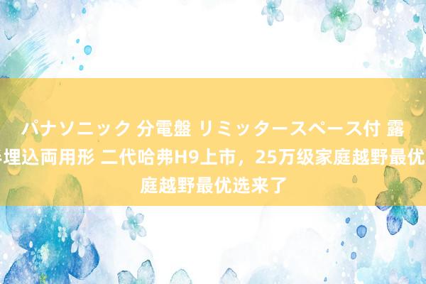 パナソニック 分電盤 リミッタースペース付 露出・半埋込両用形 二代哈弗H9上市，25万级家庭越野最优选来了