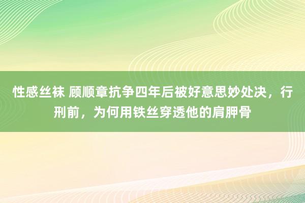 性感丝袜 顾顺章抗争四年后被好意思妙处决，行刑前，为何用铁丝穿透他的肩胛骨