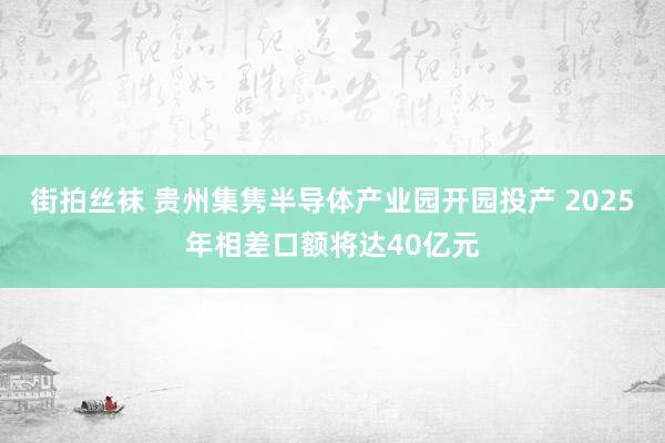 街拍丝袜 贵州集隽半导体产业园开园投产 2025年相差口额将达40亿元