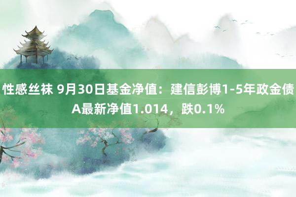 性感丝袜 9月30日基金净值：建信彭博1-5年政金债A最新净值1.014，跌0.1%