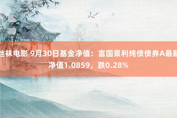 丝袜电影 9月30日基金净值：富国景利纯债债券A最新净值1.0859，跌0.28%