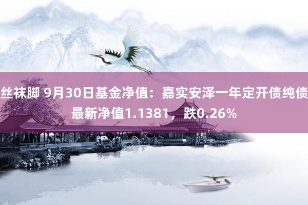 丝袜脚 9月30日基金净值：嘉实安泽一年定开债纯债最新净值1.1381，跌0.26%