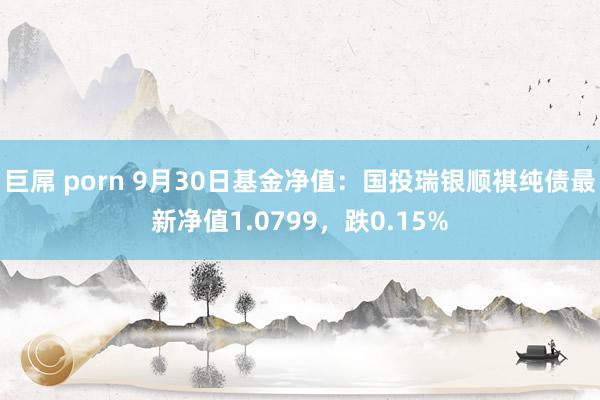 巨屌 porn 9月30日基金净值：国投瑞银顺祺纯债最新净值1.0799，跌0.15%