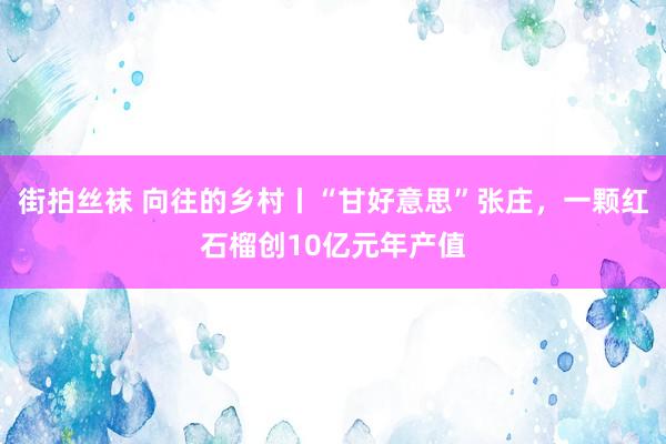 街拍丝袜 向往的乡村丨“甘好意思”张庄，一颗红石榴创10亿元年产值