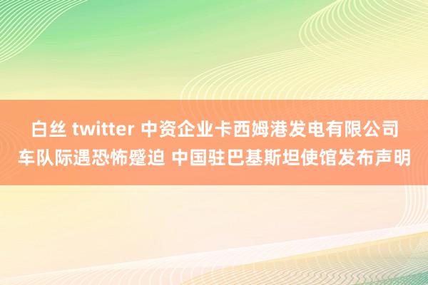 白丝 twitter 中资企业卡西姆港发电有限公司车队际遇恐怖蹙迫 中国驻巴基斯坦使馆发布声明