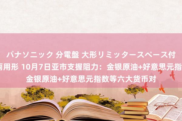 パナソニック 分電盤 大形リミッタースペース付 露出・半埋込両用形 10月7日亚市支握阻力：金银原油+好意思元指数等六大货币对