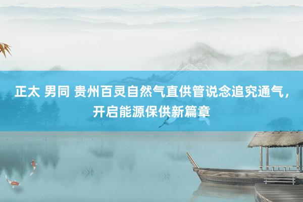 正太 男同 贵州百灵自然气直供管说念追究通气，开启能源保供新篇章