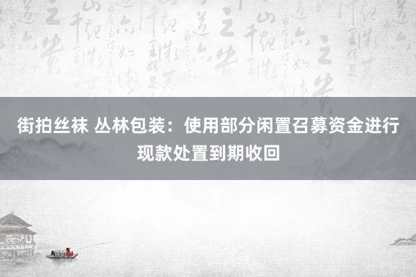 街拍丝袜 丛林包装：使用部分闲置召募资金进行现款处置到期收回