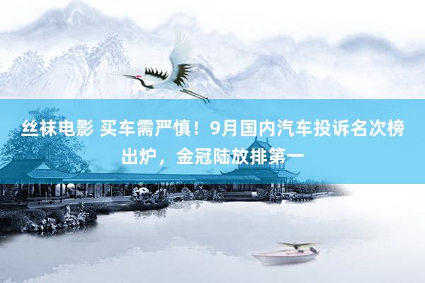 丝袜电影 买车需严慎！9月国内汽车投诉名次榜出炉，金冠陆放排第一