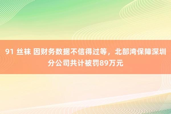 91 丝袜 因财务数据不信得过等，北部湾保障深圳分公司共计被罚89万元