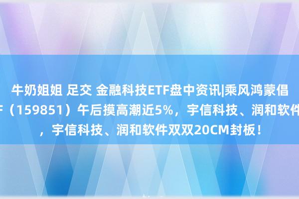 牛奶姐姐 足交 金融科技ETF盘中资讯|乘风鸿蒙倡导！金融科技ETF（159851）午后摸高潮近5%，宇信科技、润和软件双双20CM封板！