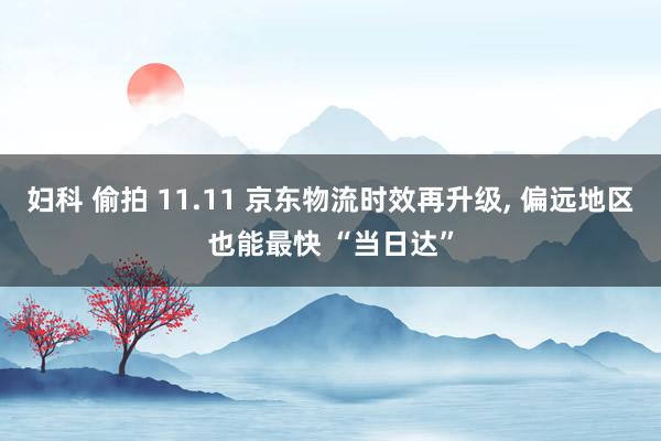 妇科 偷拍 11.11 京东物流时效再升级， 偏远地区也能最快 “当日达”