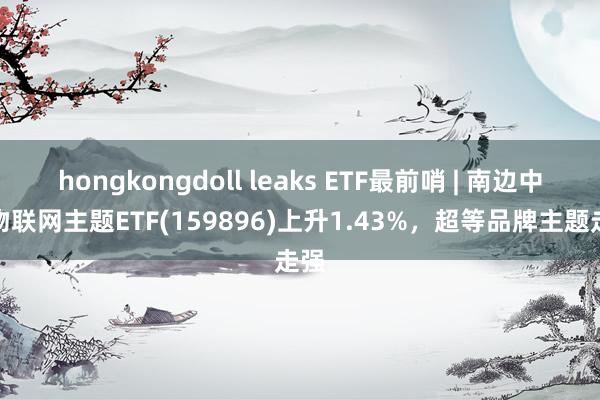 hongkongdoll leaks ETF最前哨 | 南边中证物联网主题ETF(159896)上升1.43%，超等品牌主题走强