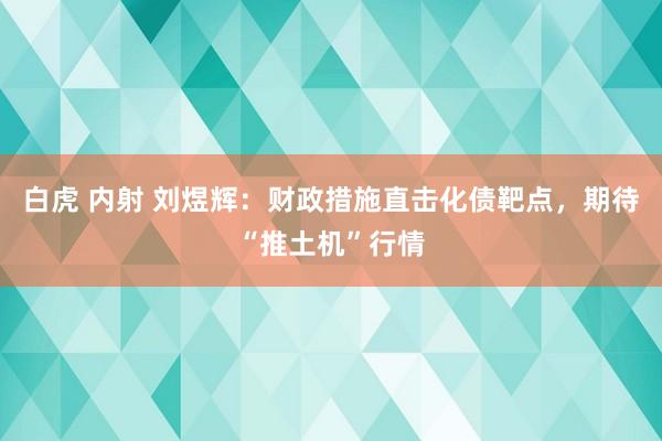 白虎 内射 刘煜辉：财政措施直击化债靶点，期待“推土机”行情