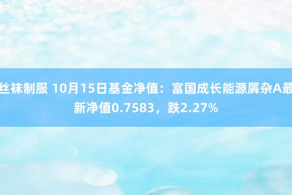 丝袜制服 10月15日基金净值：富国成长能源羼杂A最新净值0.7583，跌2.27%