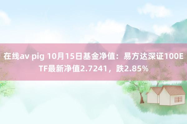 在线av pig 10月15日基金净值：易方达深证100ETF最新净值2.7241，跌2.85%