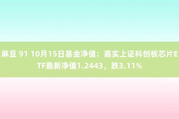 麻豆 91 10月15日基金净值：嘉实上证科创板芯片ETF最新净值1.2443，跌3.11%