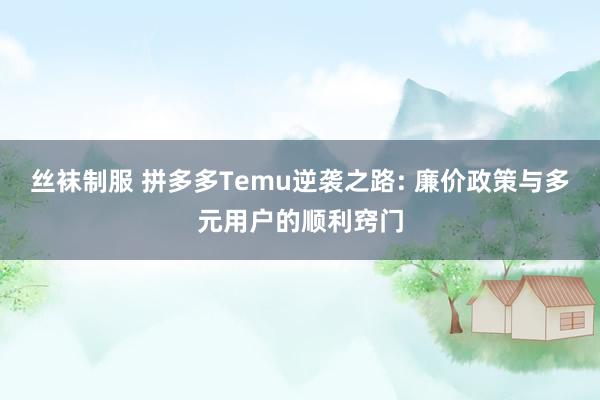 丝袜制服 拼多多Temu逆袭之路: 廉价政策与多元用户的顺利窍门