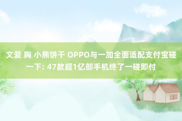 文爱 胸 小熊饼干 OPPO与一加全面适配支付宝碰一下: 47款超1亿部手机终了一碰即付