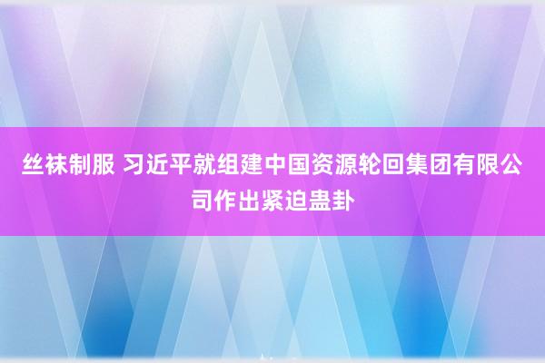 丝袜制服 习近平就组建中国资源轮回集团有限公司作出紧迫蛊卦