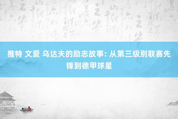 推特 文爱 乌达夫的励志故事: 从第三级别联赛先锋到德甲球星