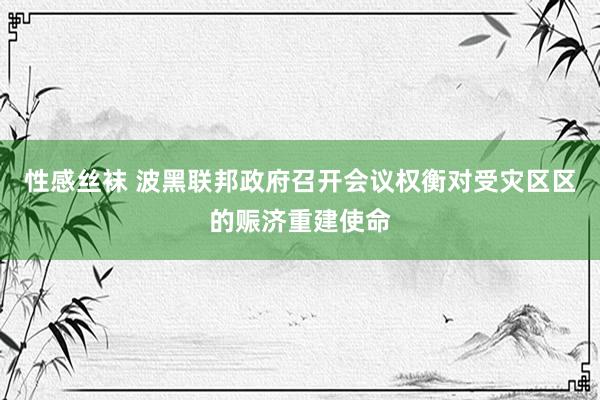 性感丝袜 波黑联邦政府召开会议权衡对受灾区区的赈济重建使命