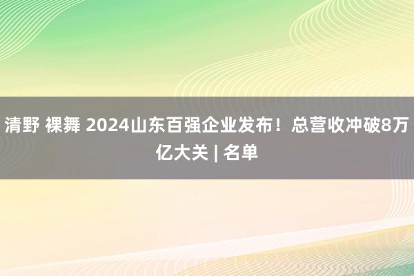 清野 裸舞 2024山东百强企业发布！总营收冲破8万亿大关 | 名单