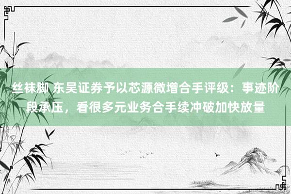 丝袜脚 东吴证券予以芯源微增合手评级：事迹阶段承压，看很多元业务合手续冲破加快放量