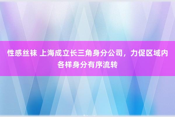 性感丝袜 上海成立长三角身分公司，力促区域内各样身分有序流转