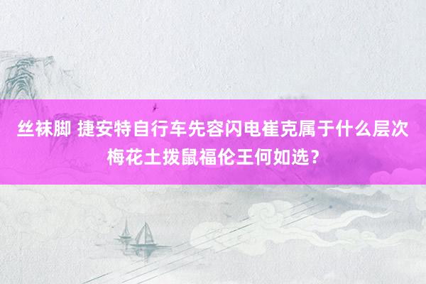 丝袜脚 捷安特自行车先容闪电崔克属于什么层次梅花土拨鼠福伦王何如选？