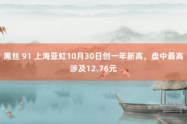 黑丝 91 上海亚虹10月30日创一年新高，盘中最高涉及12.76元