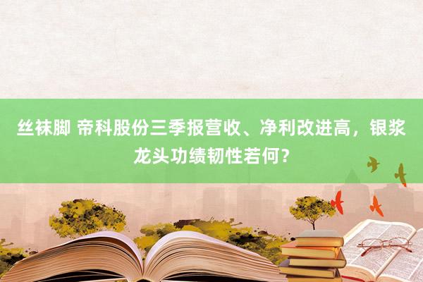 丝袜脚 帝科股份三季报营收、净利改进高，银浆龙头功绩韧性若何？