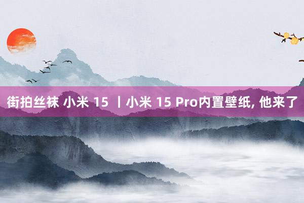 街拍丝袜 小米 15 丨小米 15 Pro内置壁纸， 他来了